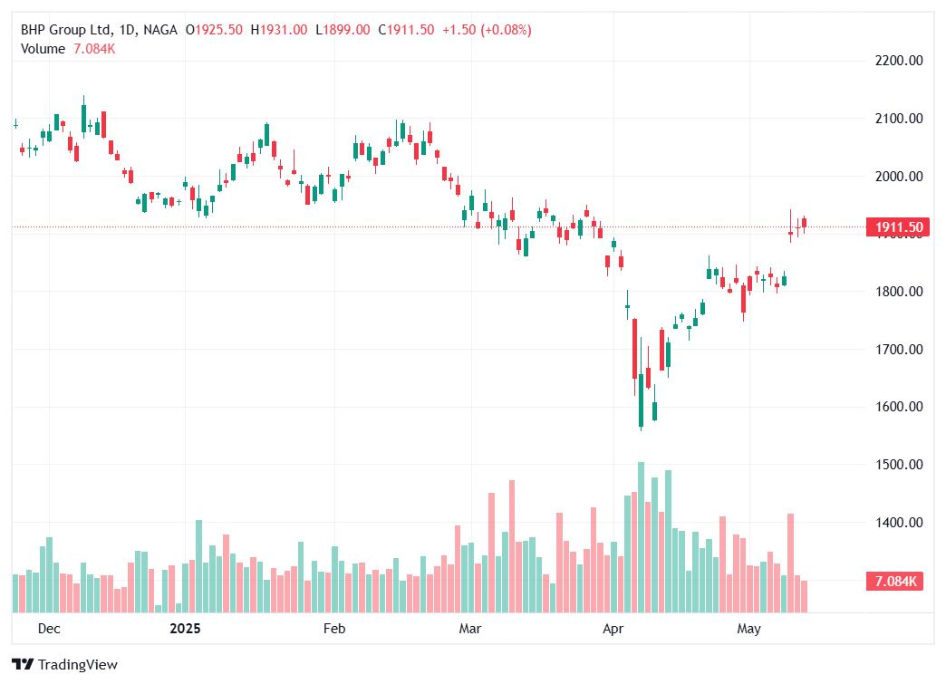 Top Acțiuni Auto Electrice - BHP Group