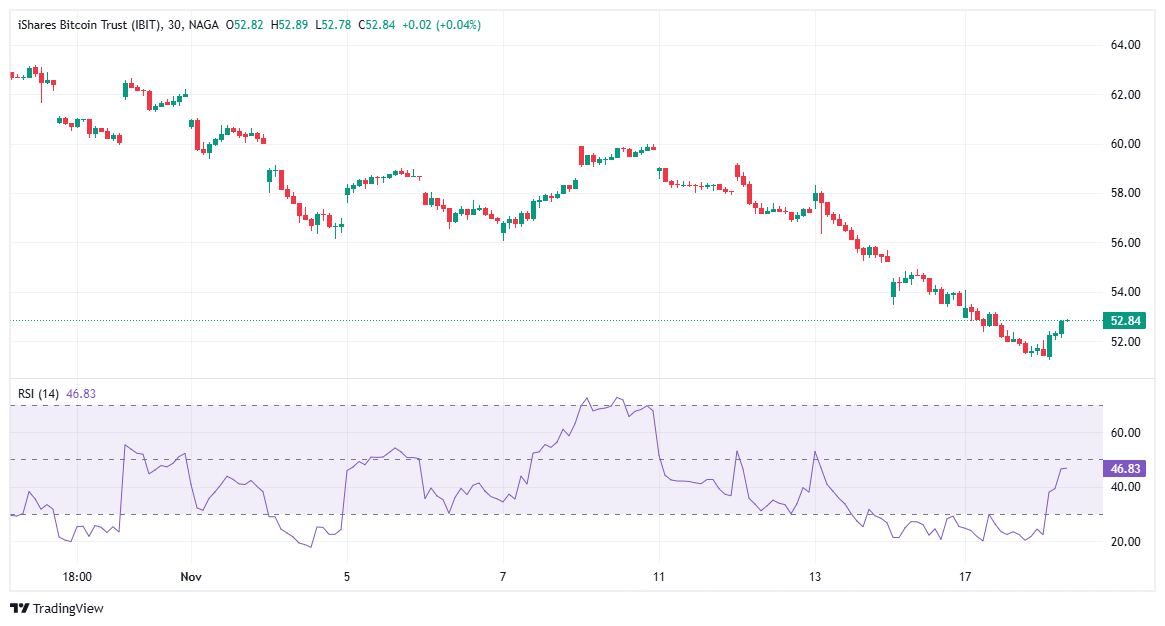 iShares Bitcoin Trust ETF (IBIT) 