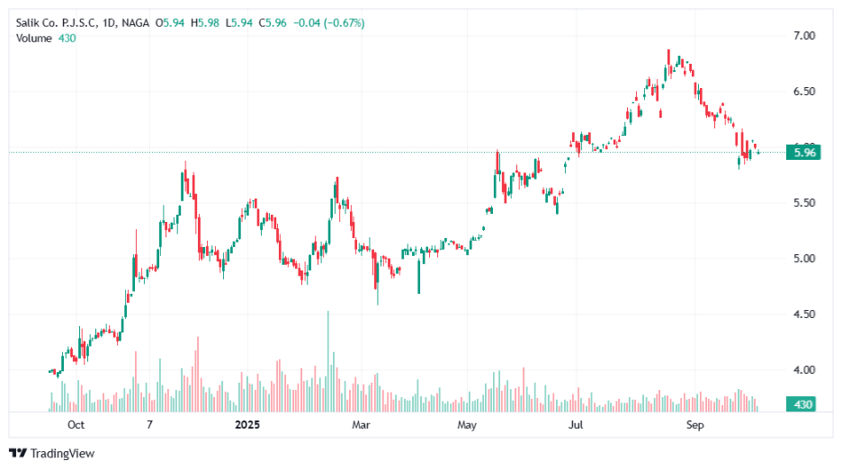best stocks in the UAE stock market - Salik